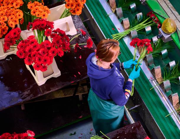 Bouquetnet-Impressionenbilder